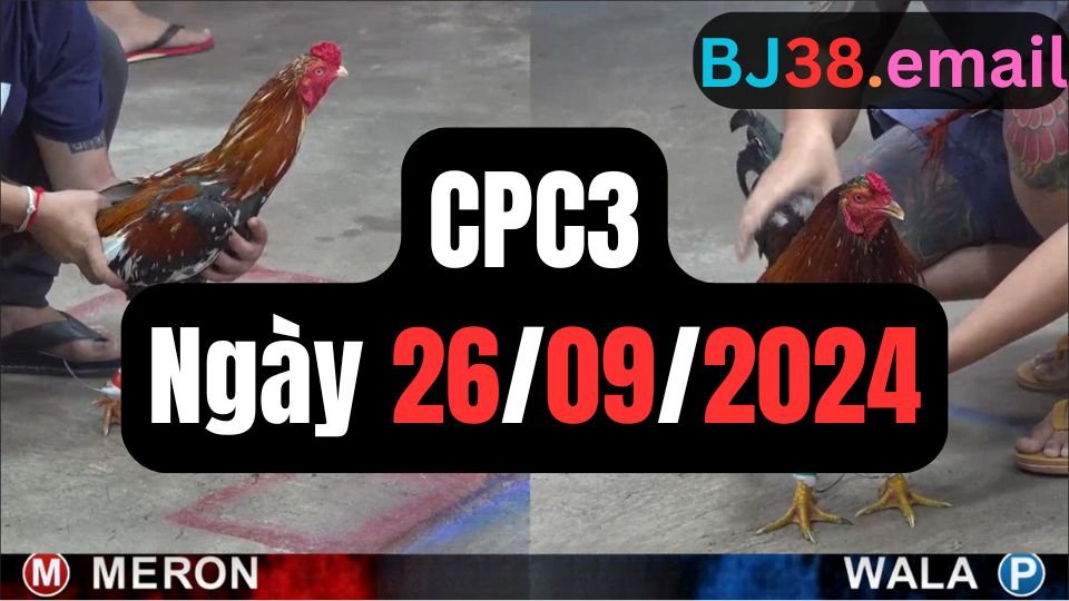 Xem đá gà thomo hôm nay sảnh CPC3 ngày 26/09/2024