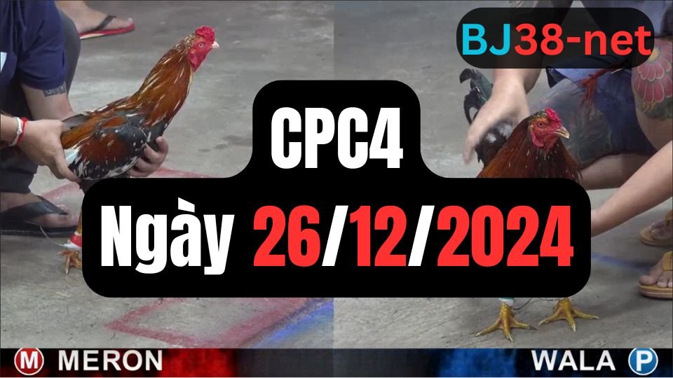 Xem đá gà thomo hôm nay sảnh CPC4 ngày 26/12/2024
